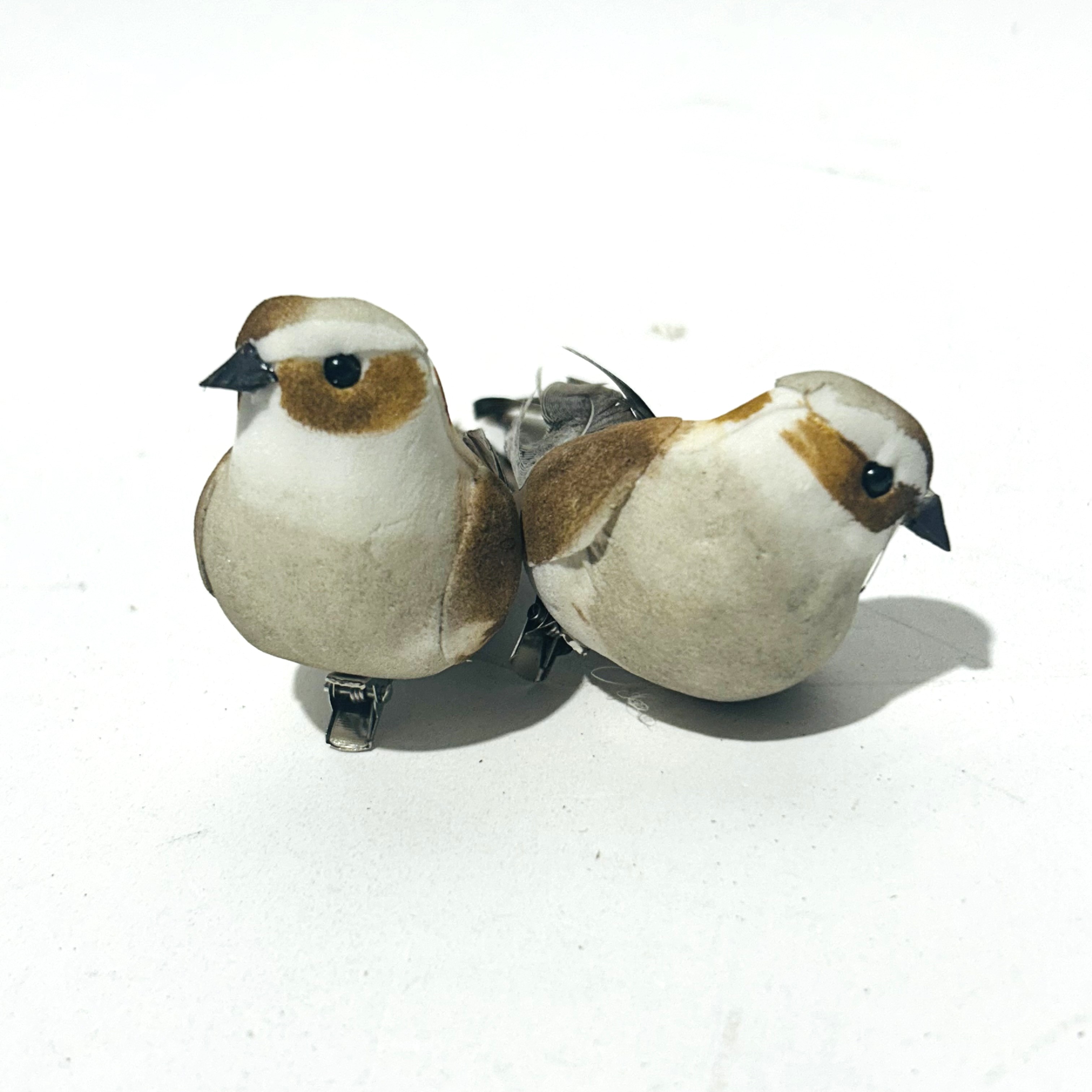 BIRD, Sparrow 10cmL 